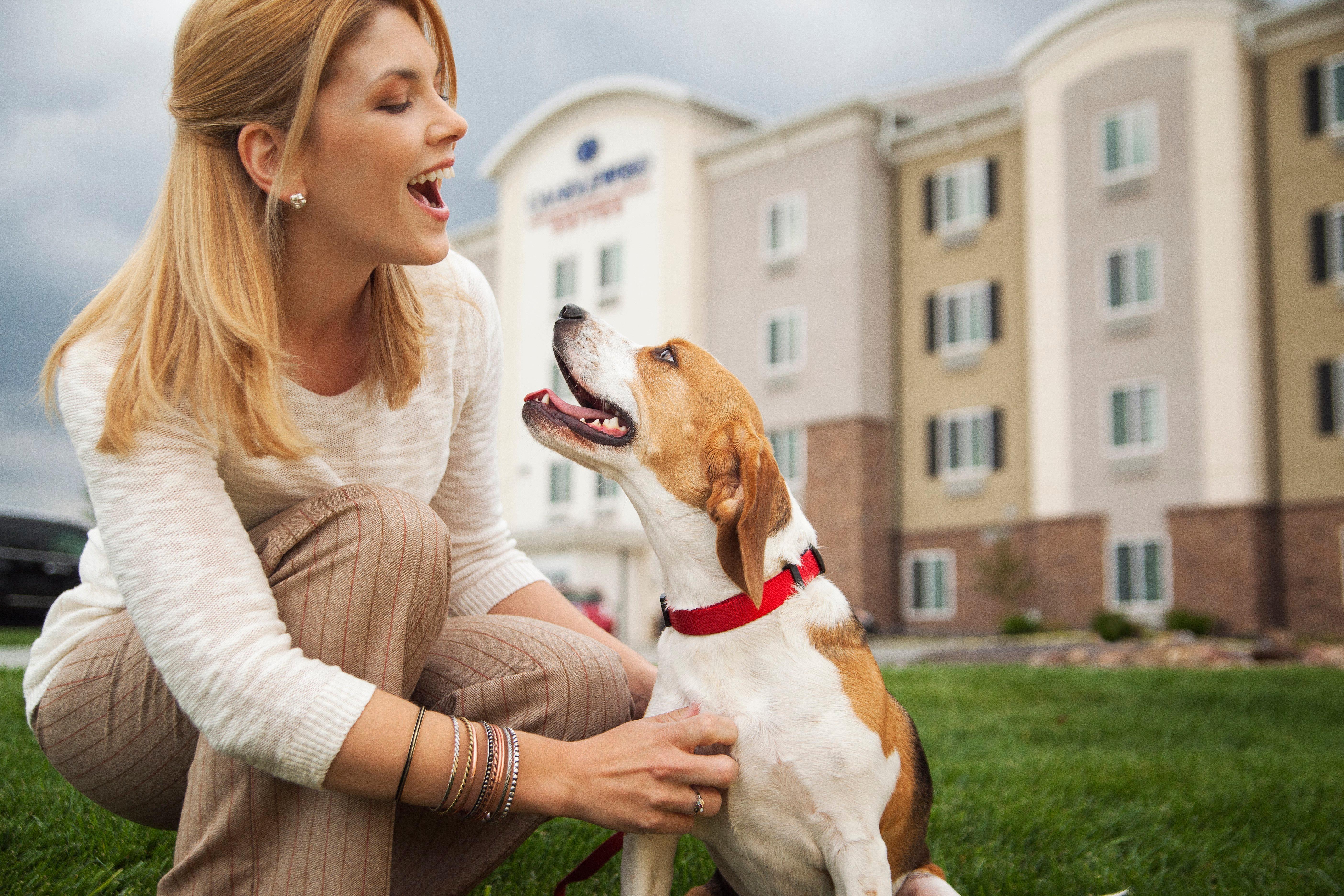 Sonesta Simply Suites San Antonio Northwest - Medical Center エクステリア 写真